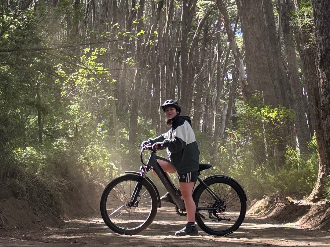 Sendero E-bikes
