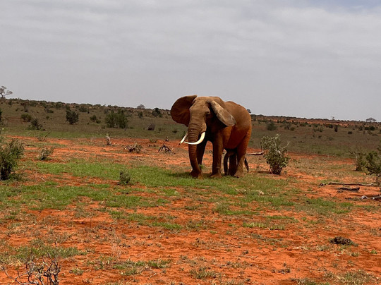 Discovery Kenya con Fragola-瓦塔木必去景点