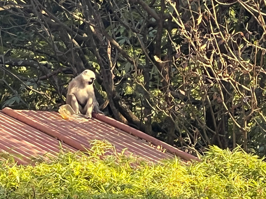 Ab Original Motorcycle Adventures Tours-新德里必去景点