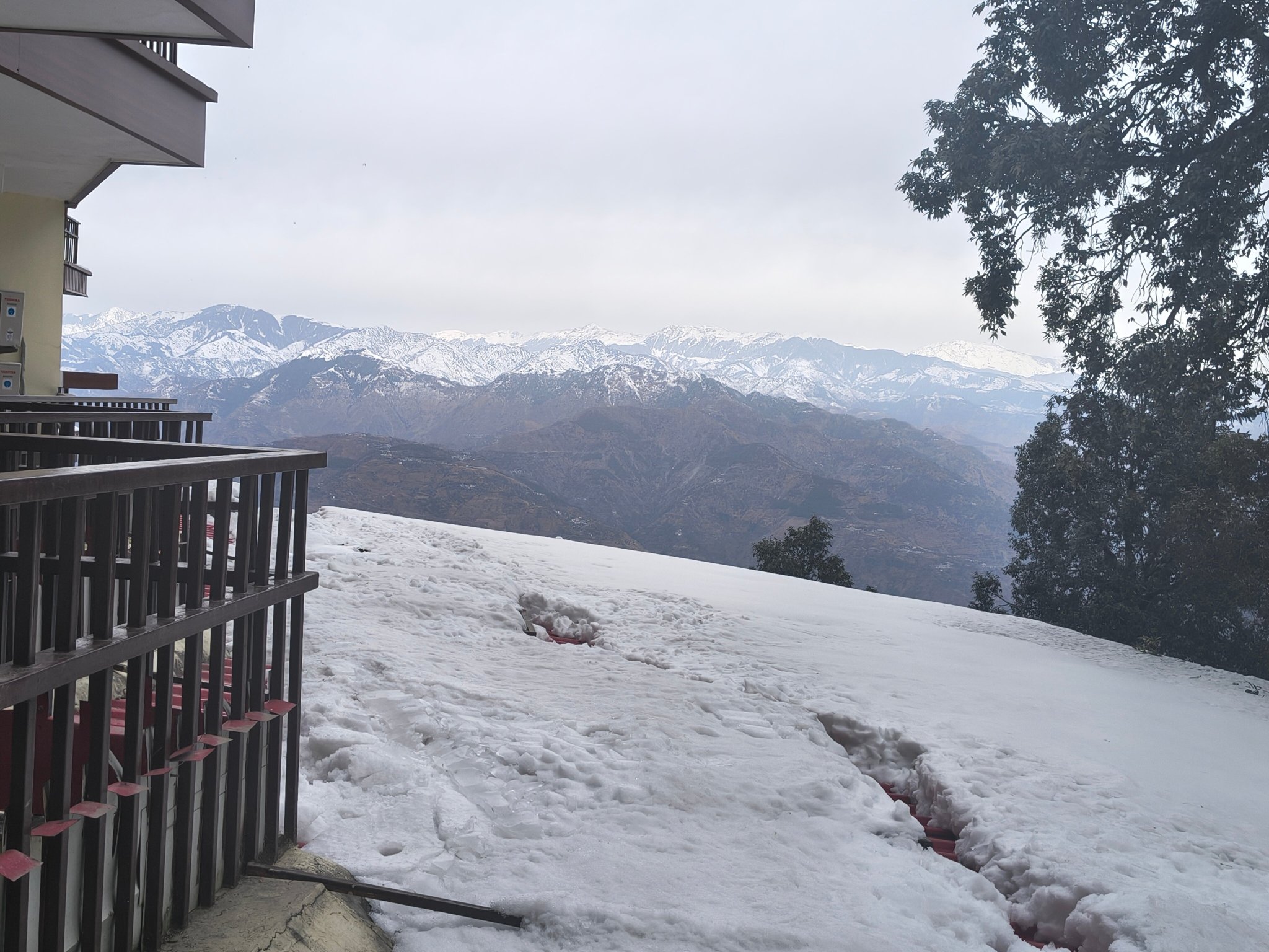 JK Clarks Exotica Dalhousie-官方