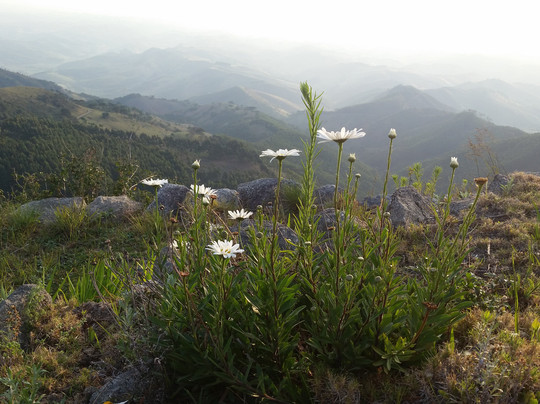 MW Trekking Viagens e Turismo-Sao Jose do Barreiro必去景点