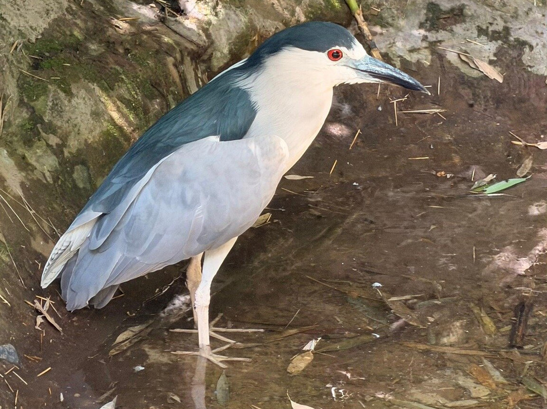 Gramadozoo-格拉玛多必去景点