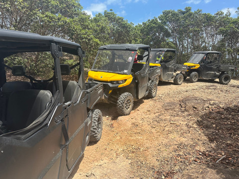 Hamilton Island Offroad Adventures-汉密尔顿岛必去景点