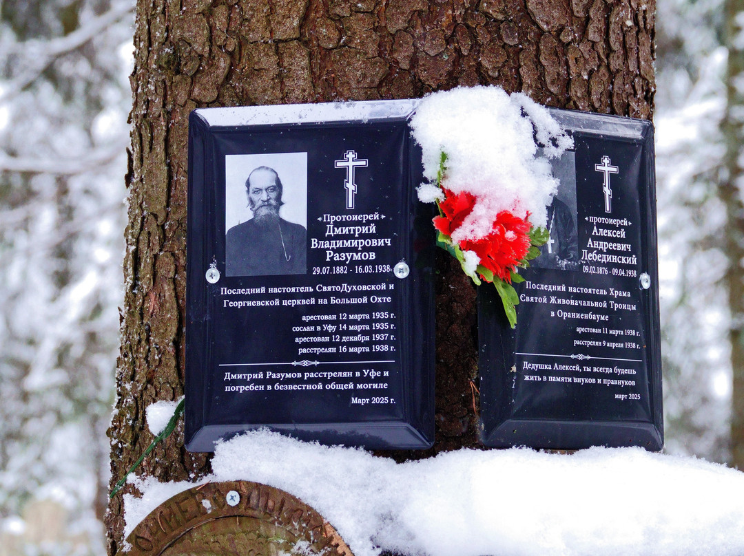 Levashovskaya Heathland Museum-圣彼得堡必去景点