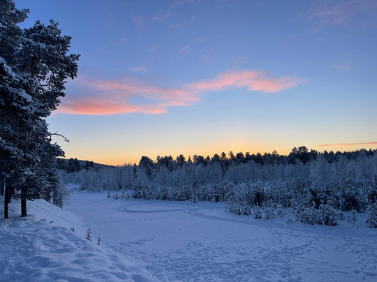 Inari Reindeer Farm-伊纳里必去景点