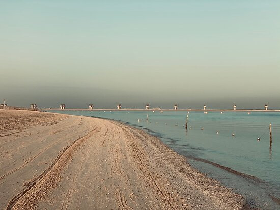 迪拜JA棕榈树庭院酒店主图