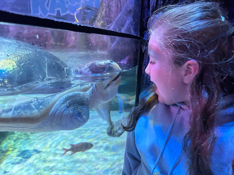 SEA LIFE Loch Lomond Aquarium-Balloch必去景点