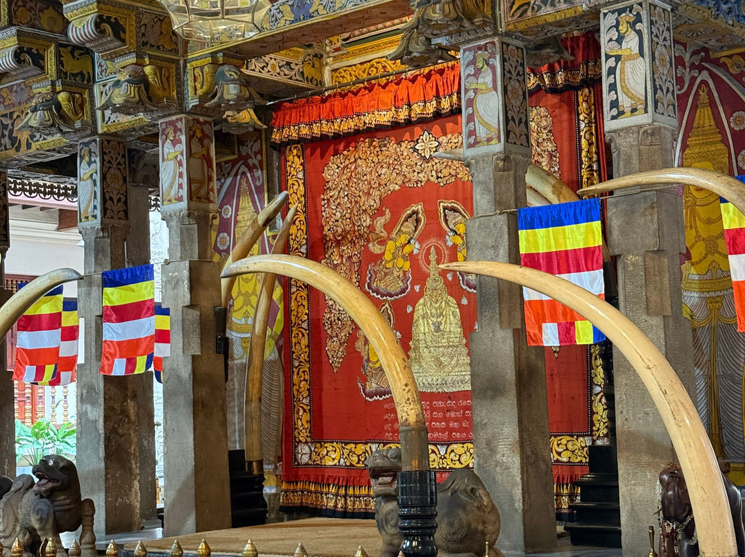 Sara Kandy Tours-康提必去景点