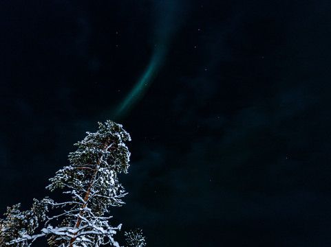 Taivo Planetarium & Astro Tours-伊瓦洛必去景点