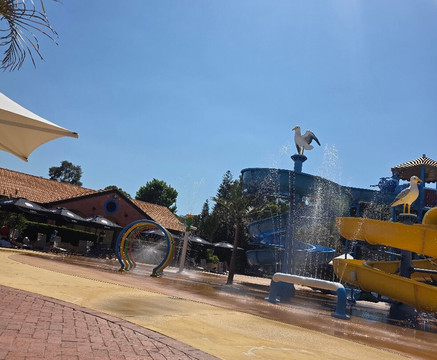 Perth's Outback Splash-Bullsbrook必去景点