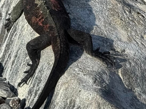 Surtrek-基多必去景点