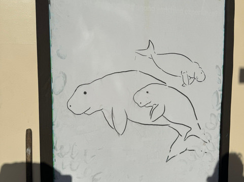 Dugong Dive Center-San Jose必去景点