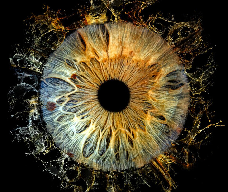 Iris Galerie Groningen