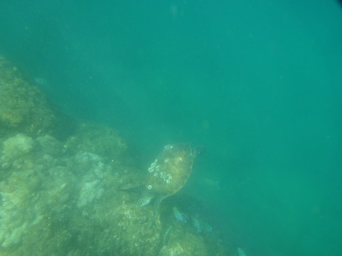 Sandy Beach-富查伊拉必去景点