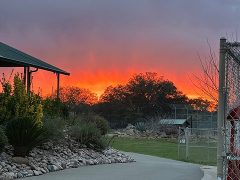 Lions, Tigers & Bears-Alpine必去景点