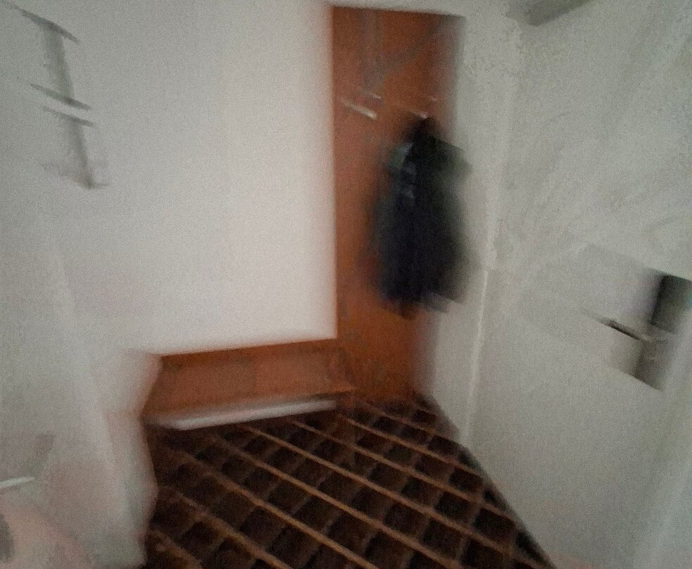 贝亨奥普佐郁金香旅馆主图