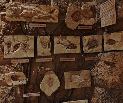 Memory of Time-朱拜勒必去景点