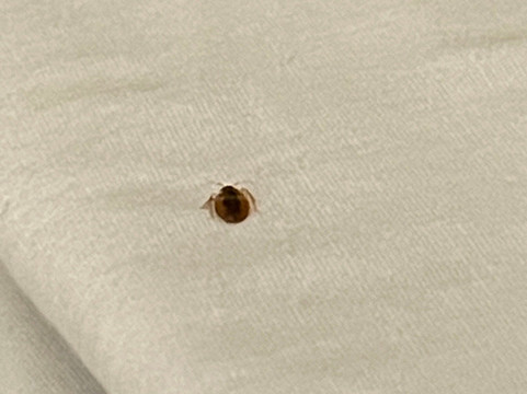 Boarders Inn & Suites In Fayette主图