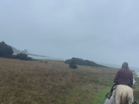 Ricochet Ridge Ranch-布拉格堡必去景点