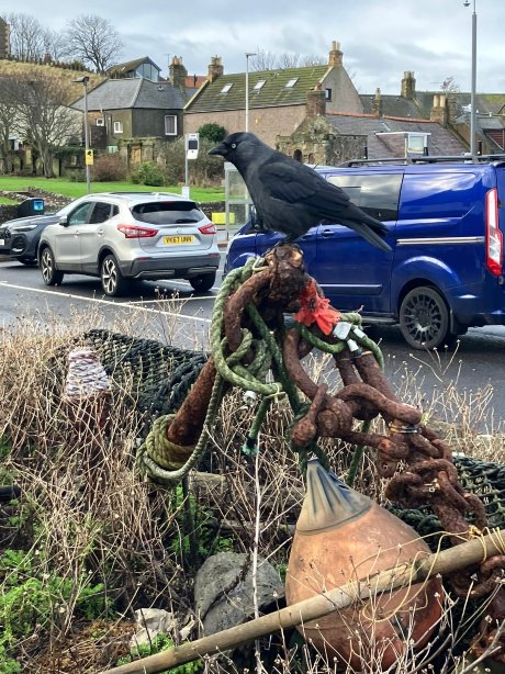 家庭阿尔姆斯旅馆-官方