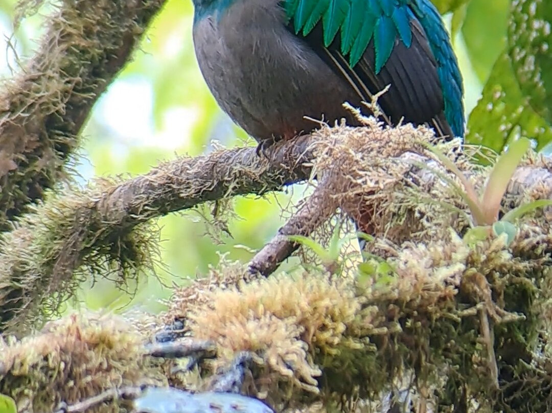 Eberth Villegas Villegas-圣埃伦娜必去景点