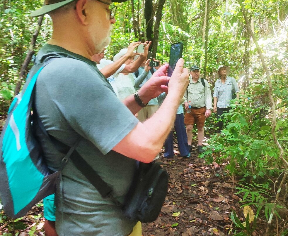 Lokobe Nature Special Reserve-诺西贝必去景点