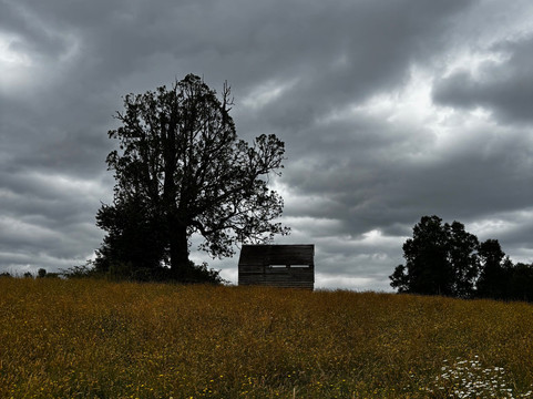 Reserva Natural El Triwe-Frutillar必去景点