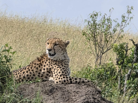 Marvels of Africa-内罗毕必去景点