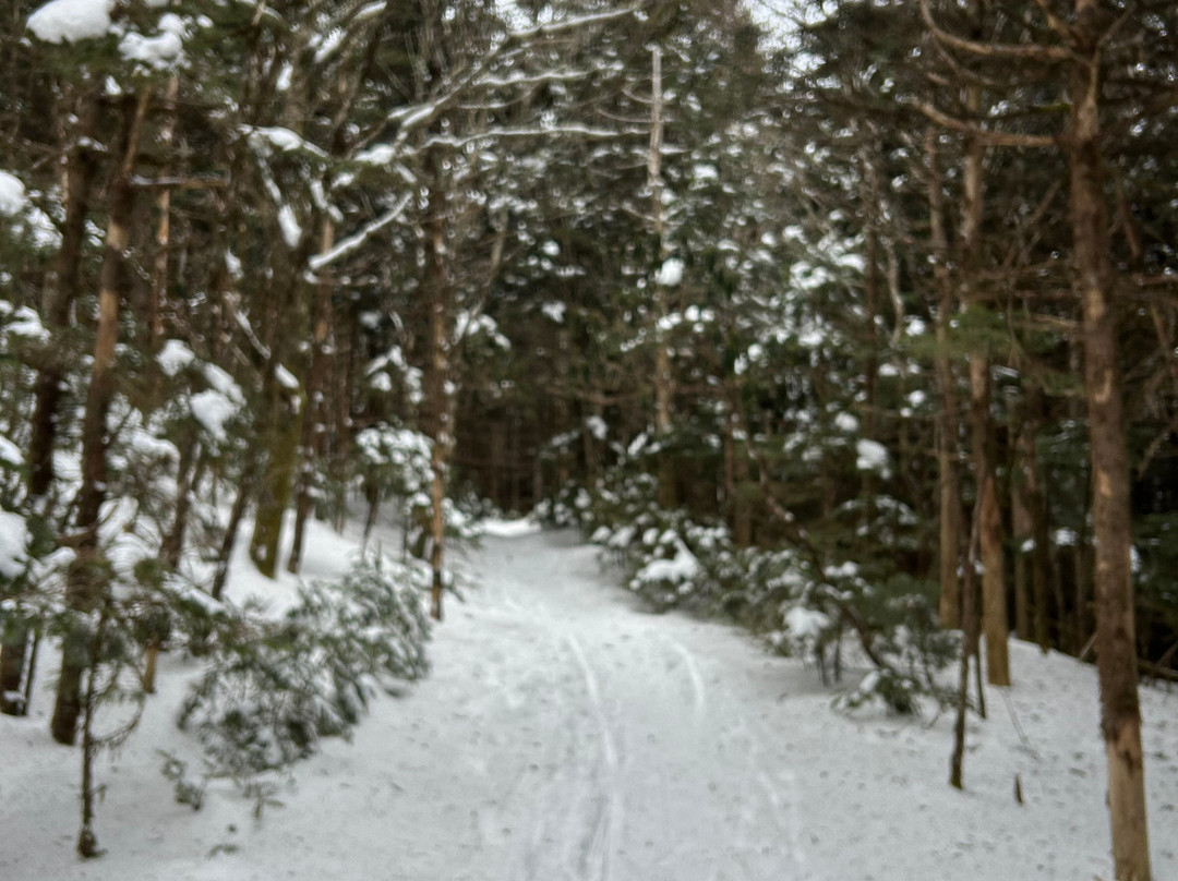 布恩 - 大学区凯艺套房酒店主图