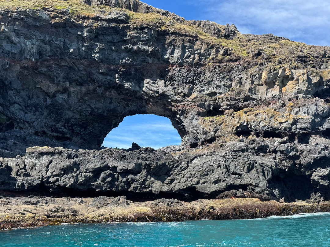 Ecoseaker Dolphin Swimming & Harbour Cruises-阿卡罗阿必去景点