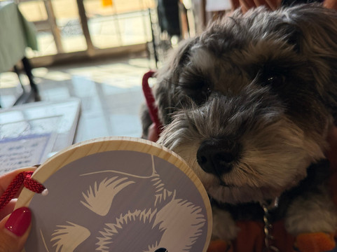 Ooyama Shrine-尾道市必去景点