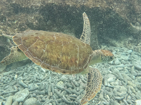 1000 Steps-博奈尔岛必去景点