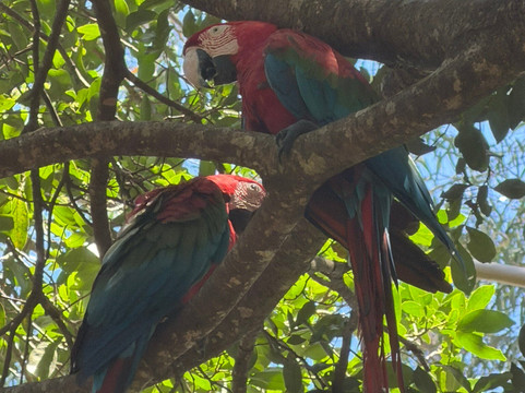 Recanto Ecologico Rio da Prata-博尼图必去景点