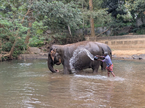 Elephant Freedom Project-凯格勒 必去景点