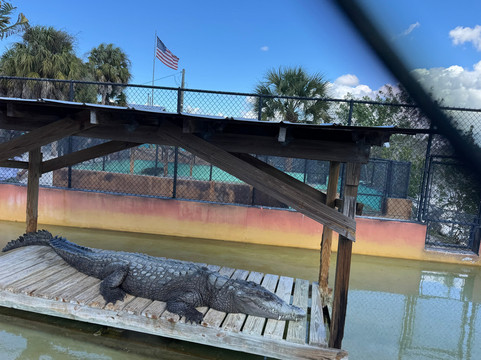 Wooten's Everglades Airboat Tour-奥乔皮必去景点