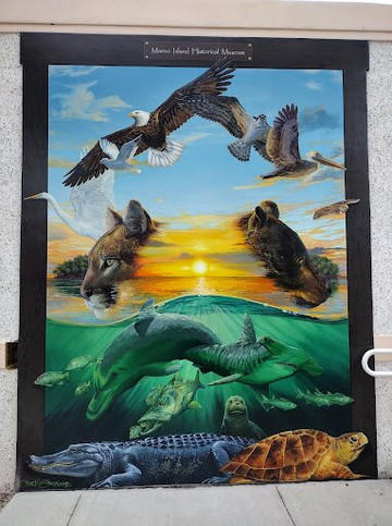 Marco Island Historical Museum-马可岛必去景点