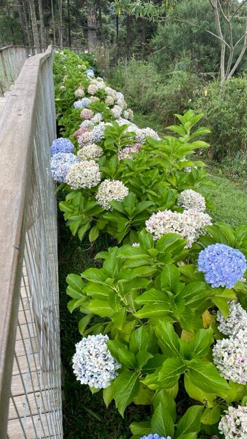 Cachoeira Papuã-Urubici必去景点