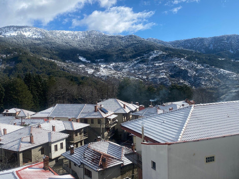 Floara Di Munte Forest Luxury Suites