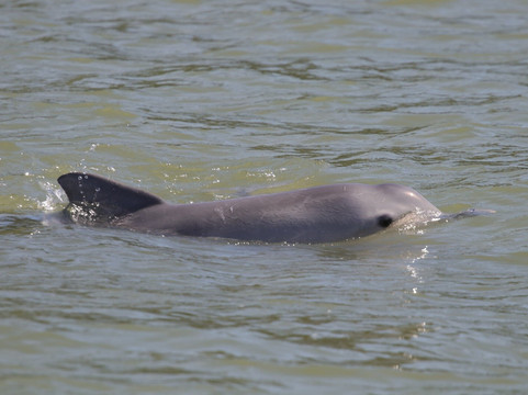 Ilet la Mere-卡宴必去景点