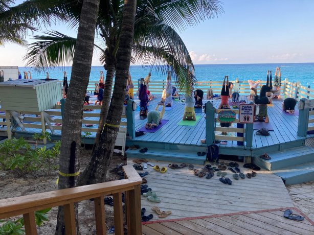 Sivananda Ashram Yoga Retreat Bahamas-酒店景观