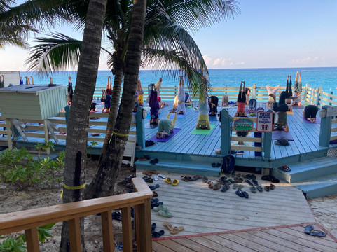 Sivananda Ashram Yoga Retreat Bahamas主图