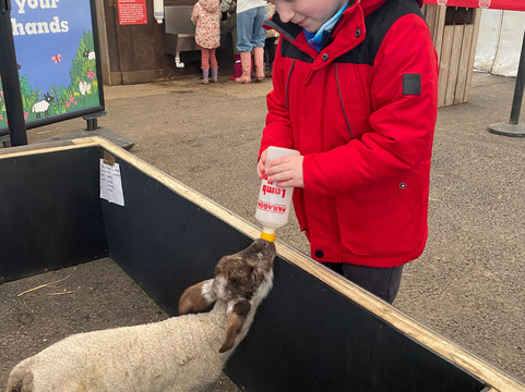 Piglets Adventure Farm-约克必去景点