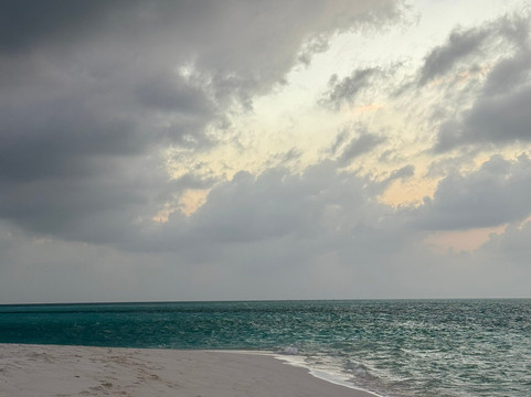 棕榈树休憩酒店主图