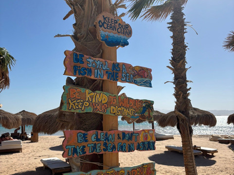 Wyte Soma Beach Club-索马湾必去景点