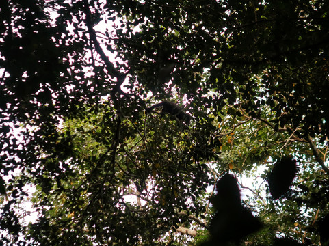 DANTA TOURS-Xpujil Town必去景点