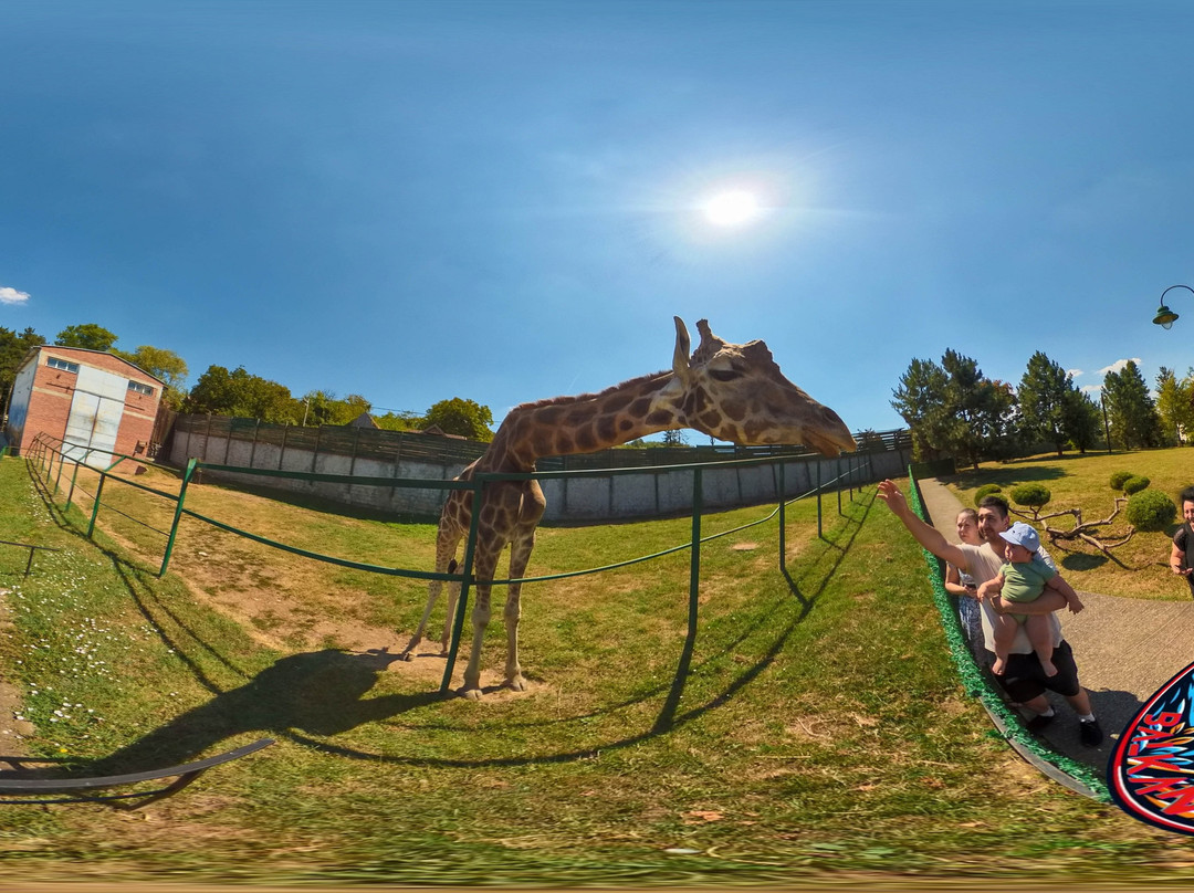 Zoo vrt Tigar-Jagodina必去景点