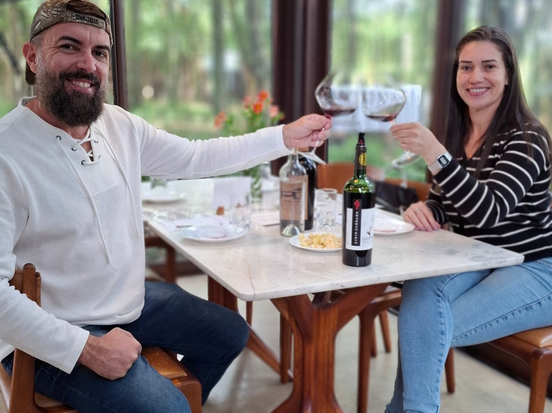 Lidio Carraro Vinícola Boutique-本图贡萨尔维斯必去景点