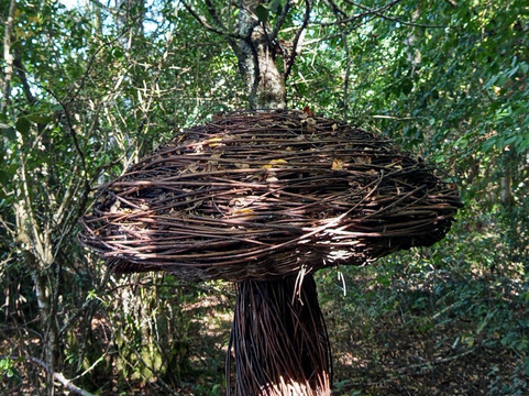 Centro de Humedales Río Cruces-瓦尔迪维亚必去景点