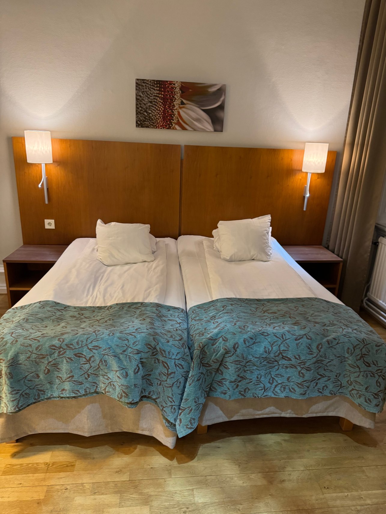 斯堪迪克比尔灵根酒店-客卧