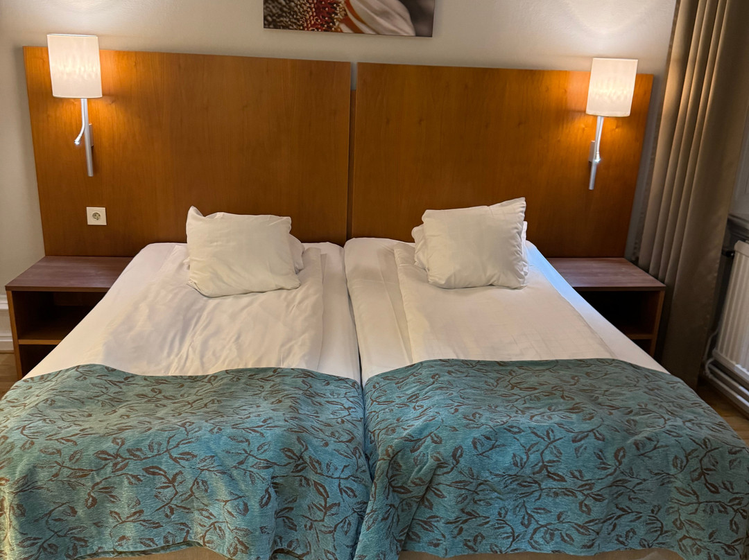 斯堪迪克比尔灵根酒店主图